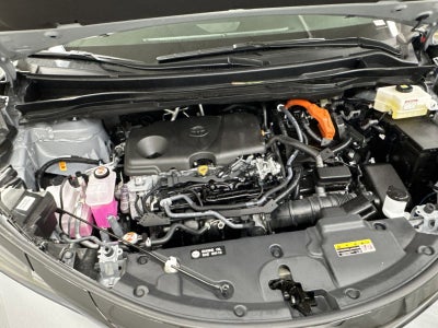 2025 Toyota Sienna Woodland Edition