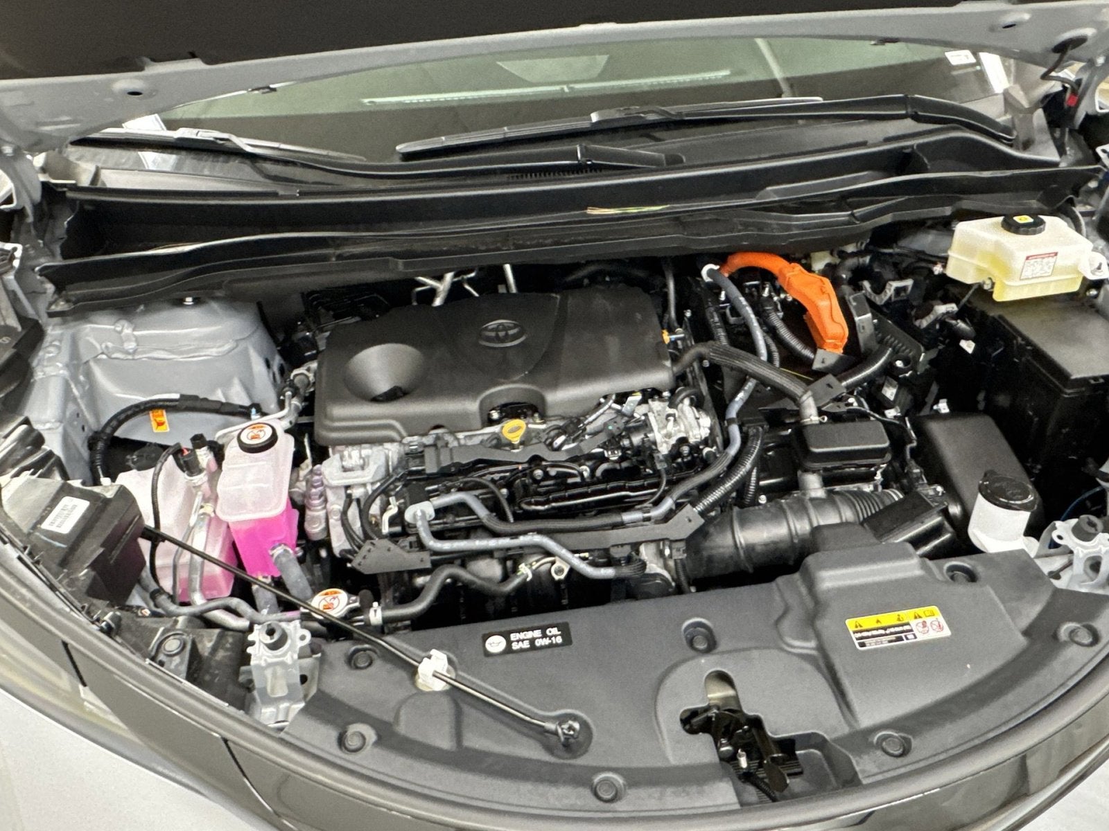 2025 Toyota Sienna Woodland Edition