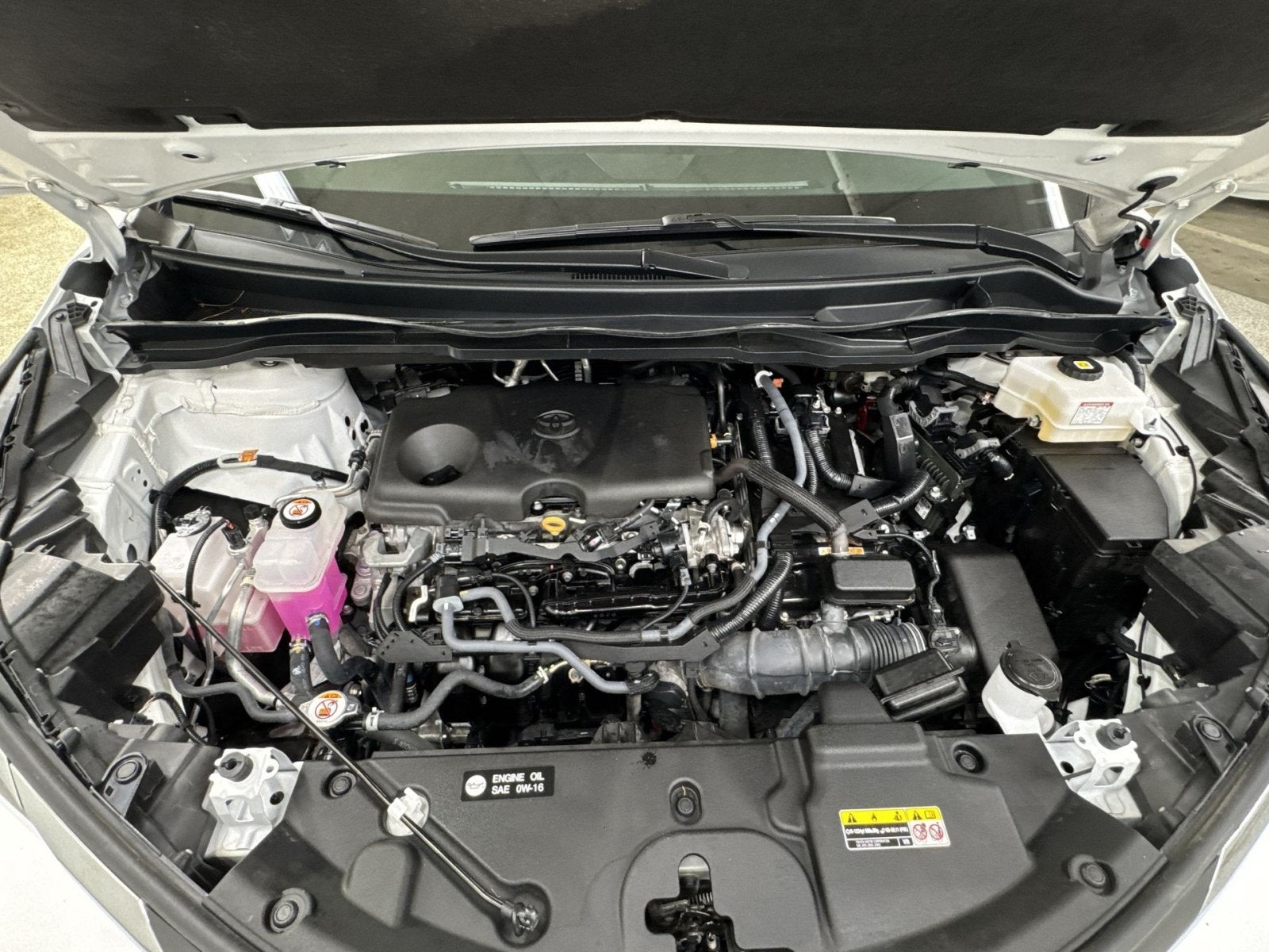 2025 Toyota Sienna LE