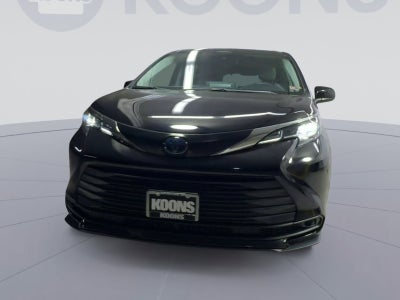 2023 Toyota Sienna LE