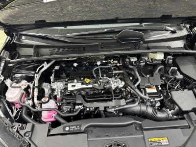 2025 Toyota Prius XLE