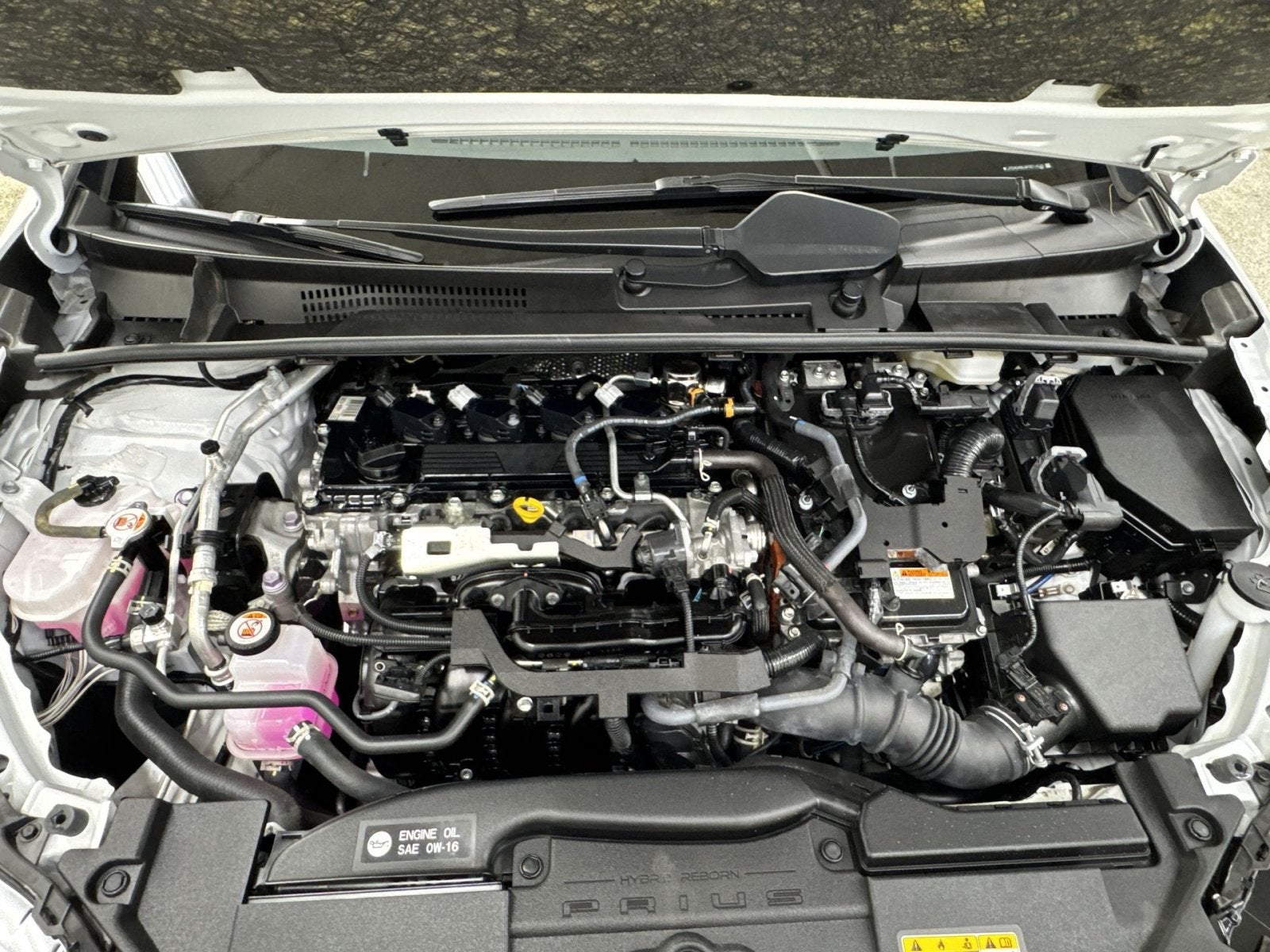 2024 Toyota Prius XLE